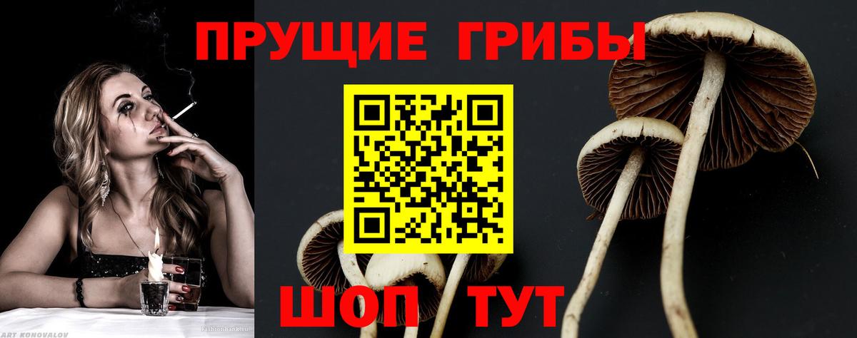 Кузнецк  Галлюциногенные грибы MAGIC MUSHROOMS  Вход с VPN 